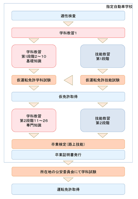 指定自動車学校の教習内容